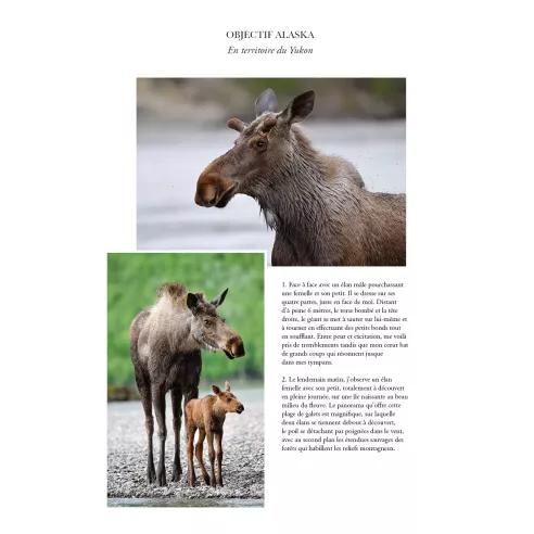 Aventures en Alaska, 2 571 kilomètres sur le fleuve Yukon