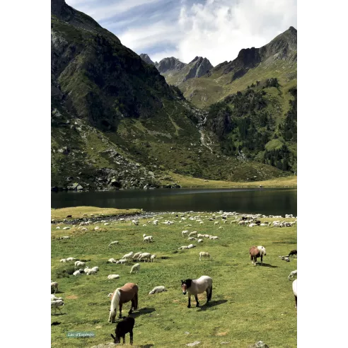 Les plus belles randonnées Visorando des Pyrénées