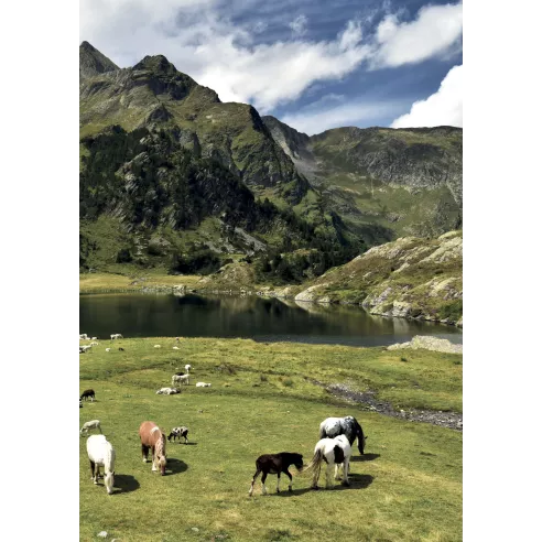 Les plus belles randonnées Visorando des Pyrénées