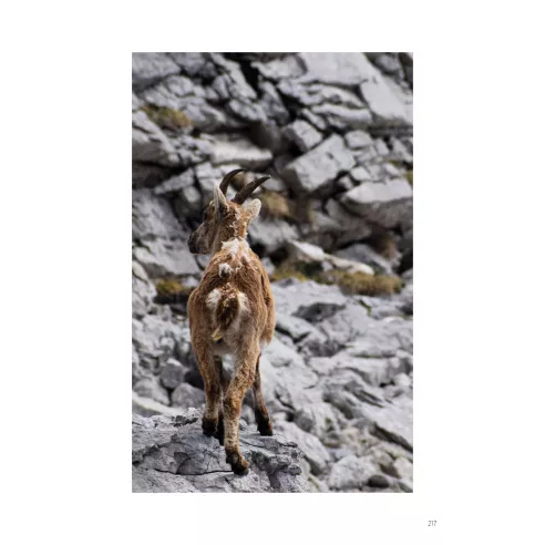 Cabanes libres du Vercors