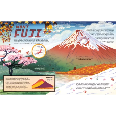 Montagnes géantes Histoires et secrets des plus hauts sommets du monde