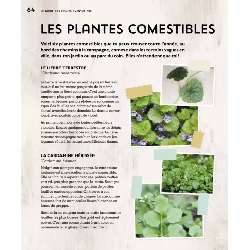 Le guide des jeunes aventuriers