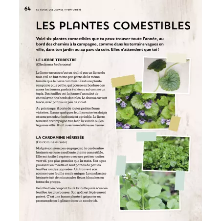 Le guide des jeunes aventuriers