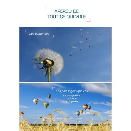 Rêve d'Icare