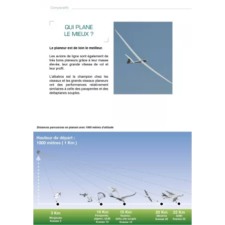 Rêve d'Icare