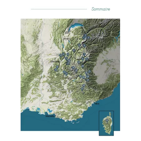 Ski de randonnée