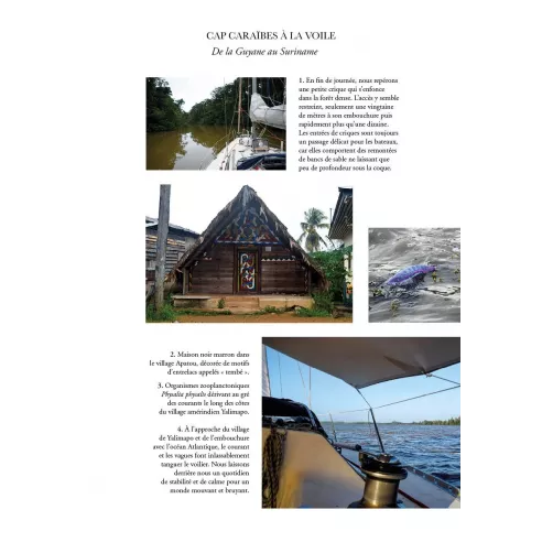 Journal d'expéditions en Amazonie