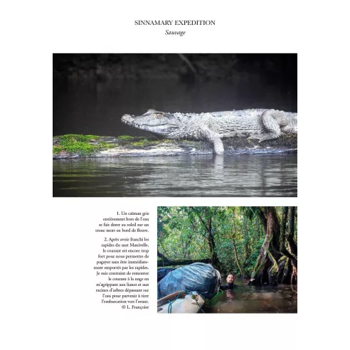 Journal d'expéditions en Amazonie