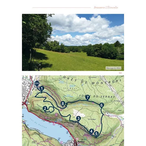 Rando-bière dans le massif du Jura