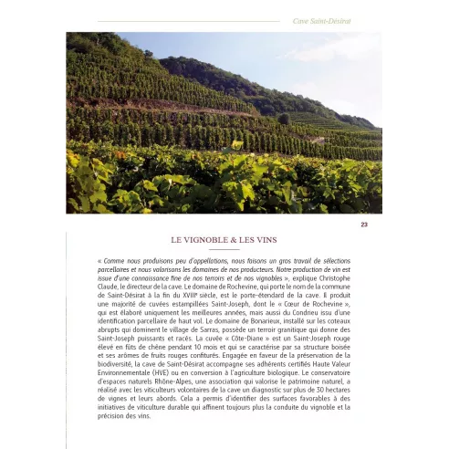 Rando-vin dans les Côtes du Rhône