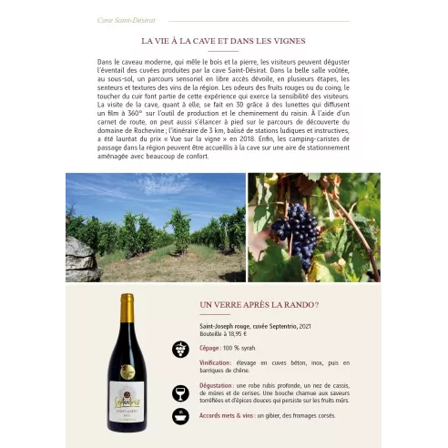 Rando-vin dans les Côtes du Rhône