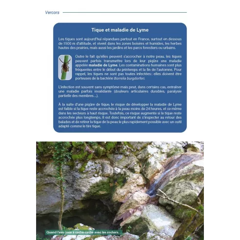 Rando-fraîcheur autour de Grenoble